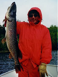 Fish
